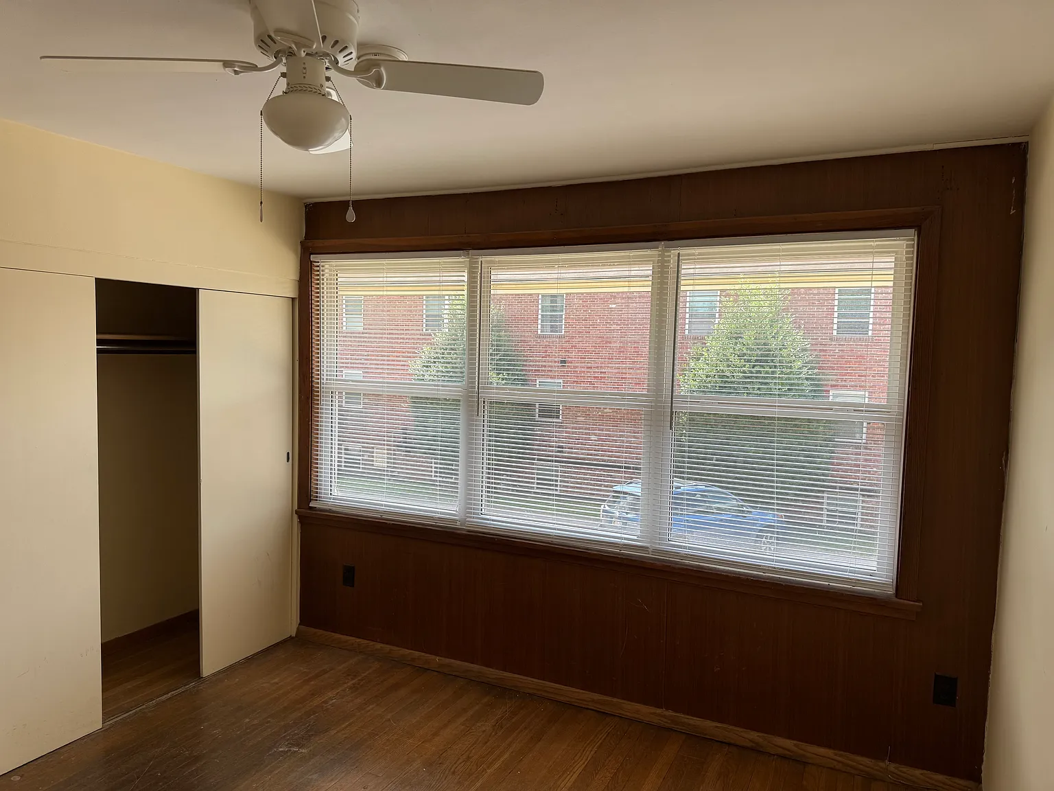 1 bed, $900 — Photo 3