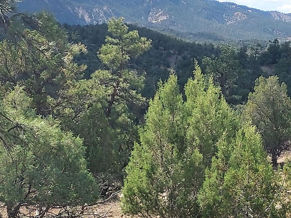 1st image of 29295 County Road 500