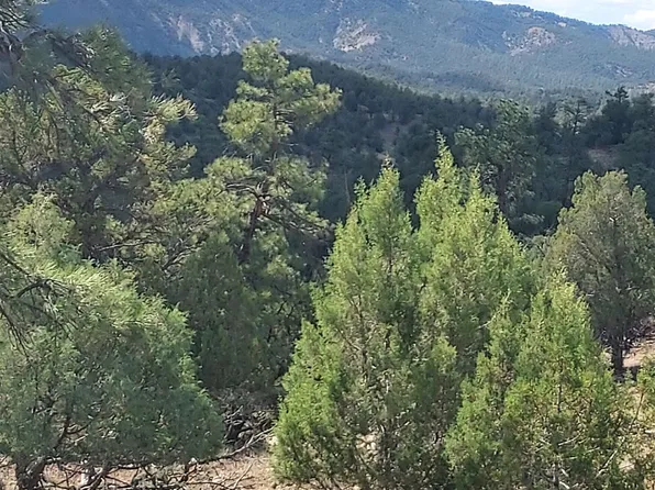 29295 County Road 500, Pagosa Springs, CO 81147