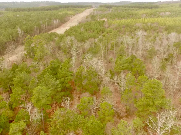 County Road 2307 Beasley Rd, Lone Star, TX 75668
