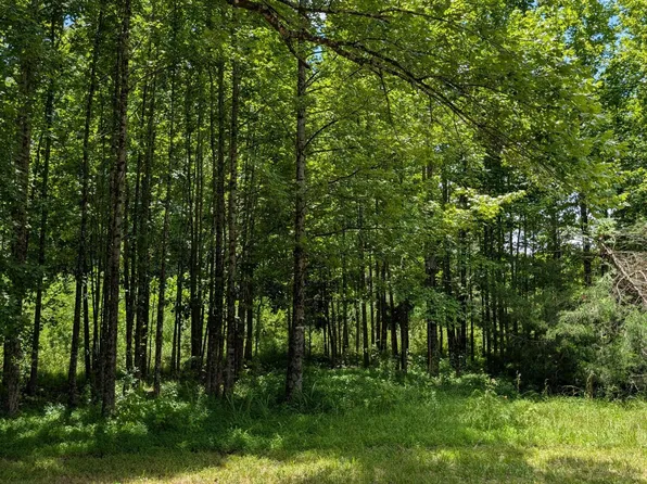 109 W Caldwell Rd, Booneville, MS 38829
