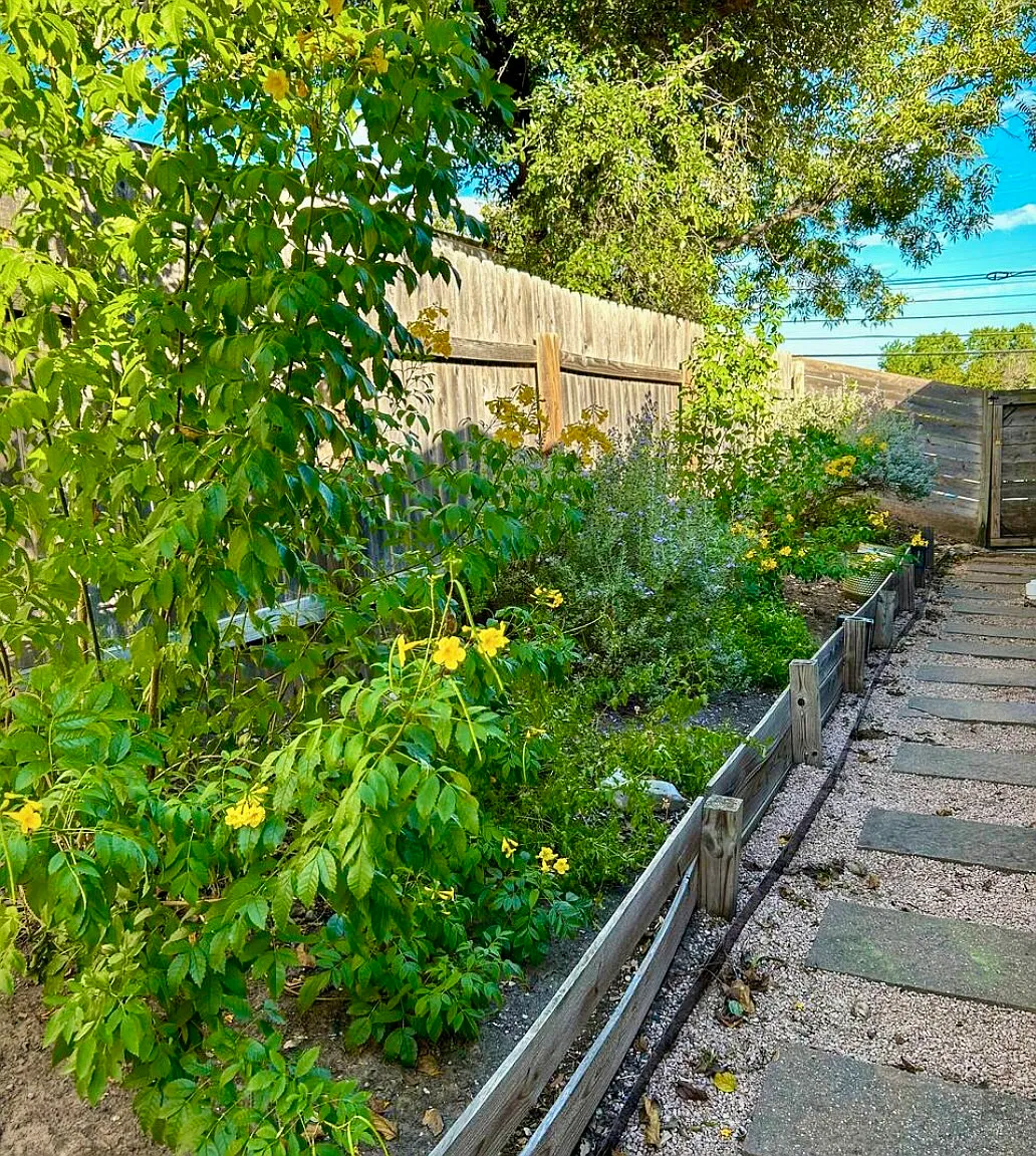 1 bed, 1343 sqft, $1,395 — Photo 4
