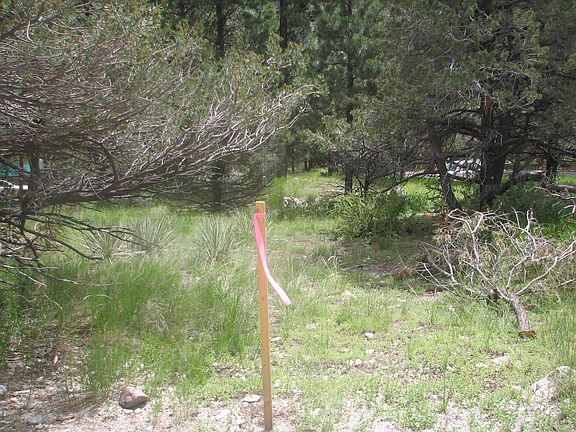 5th image of County Road 291