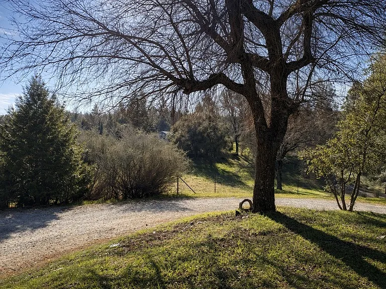 20250 Vineyard Ln — Photo 14
