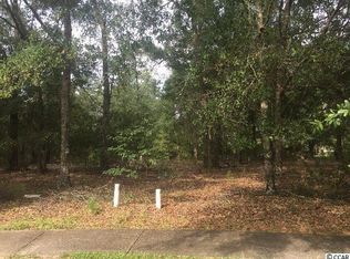 28 Madison Dr, Georgetown, SC 29440