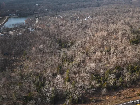 0 Highway 221 St, Ironton, MO 63650