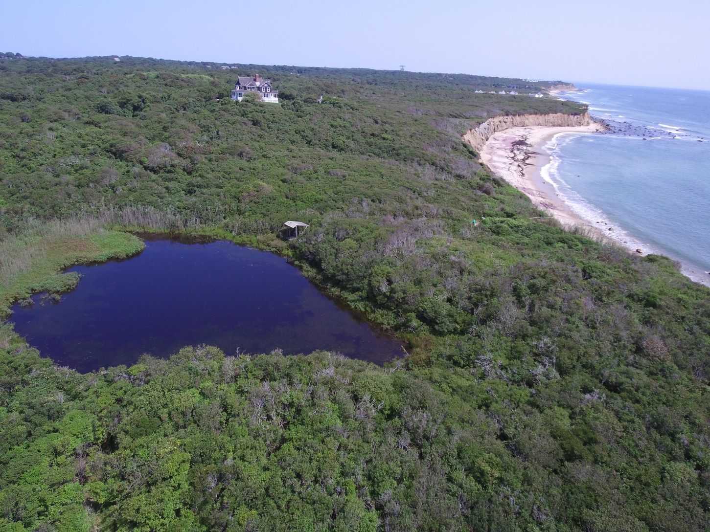  aerial view of pond