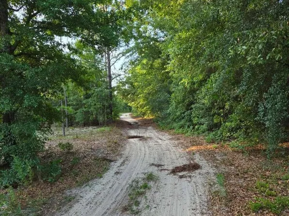 1327 Charlies Loop, Williston, SC 29853