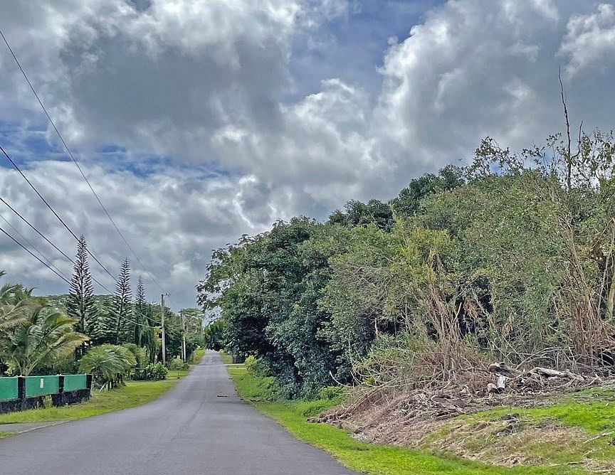 2nd image of 29th Avenue Poni Moi Lot 47