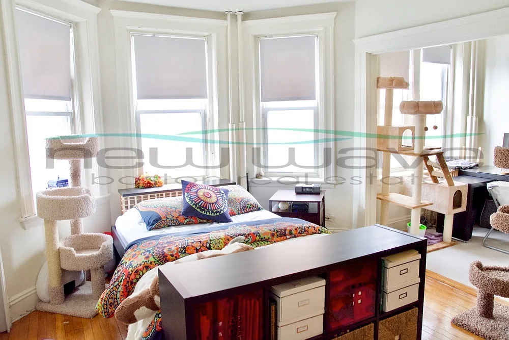 Studio, 450 sqft, $2,300 — Photo 1