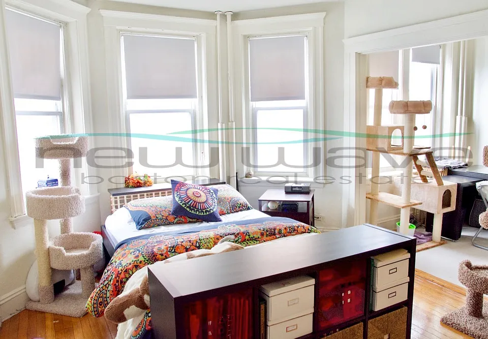 1165 Boylston St #9