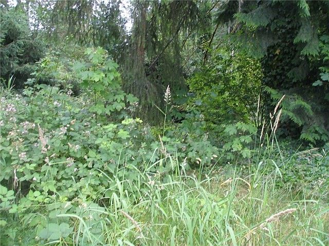 1st image of 11927 415th Street Ct E