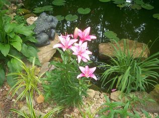 3717 Kimrod Dr, Johnson City, TN 37601