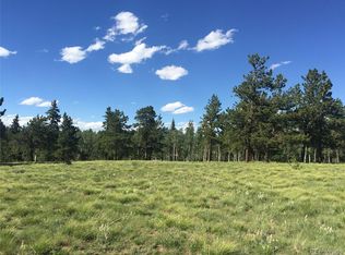 2196 Singletree Rd #1307, Hartsel, CO 80449