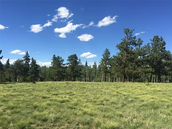 2196 Singletree Road LOT 1307, Hartsel, CO 80449