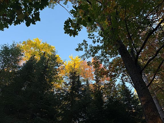 3rd image of Lot 345 RIDGEWOOD DR
