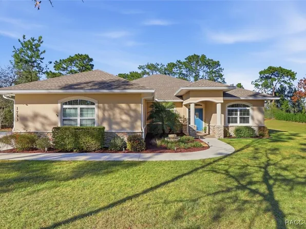 1733 County Road 243a, Wildwood, FL 34785