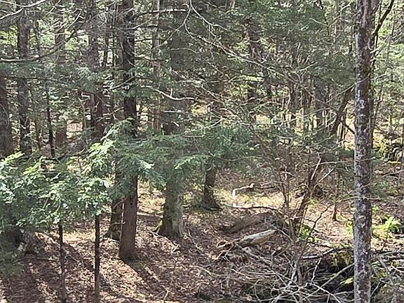 2nd image of 0 Jacobs Ladder Road