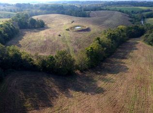 238 Long Branch Rd, Sharpsburg, KY 40374