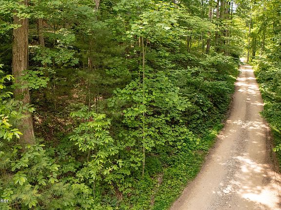 5th image of 4 Black Bear Ridge Rd