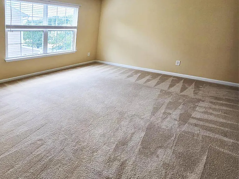 105 Chandler Springs Dr — Photo 15