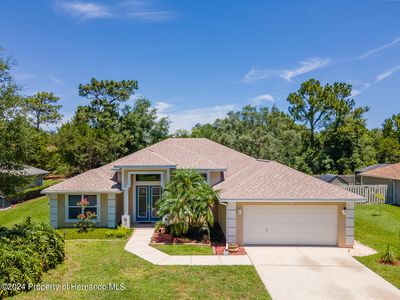 6 Southern Trace Blvd, Ormond Beach, FL, 32174