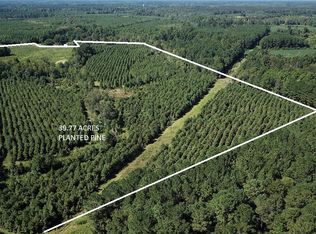 0 Fralix Rd, Smoaks, SC 29481