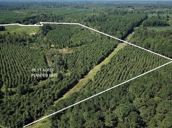 0 Fralix Rd, Smoaks, SC 29481