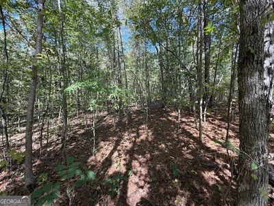 0 Cheryl St #41-42-43, Luthersville, GA, 30251