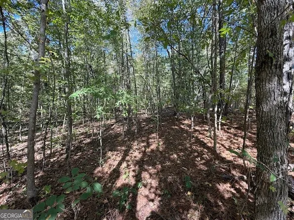 0 Cheryl St #41-42-43, Luthersville, GA 30251