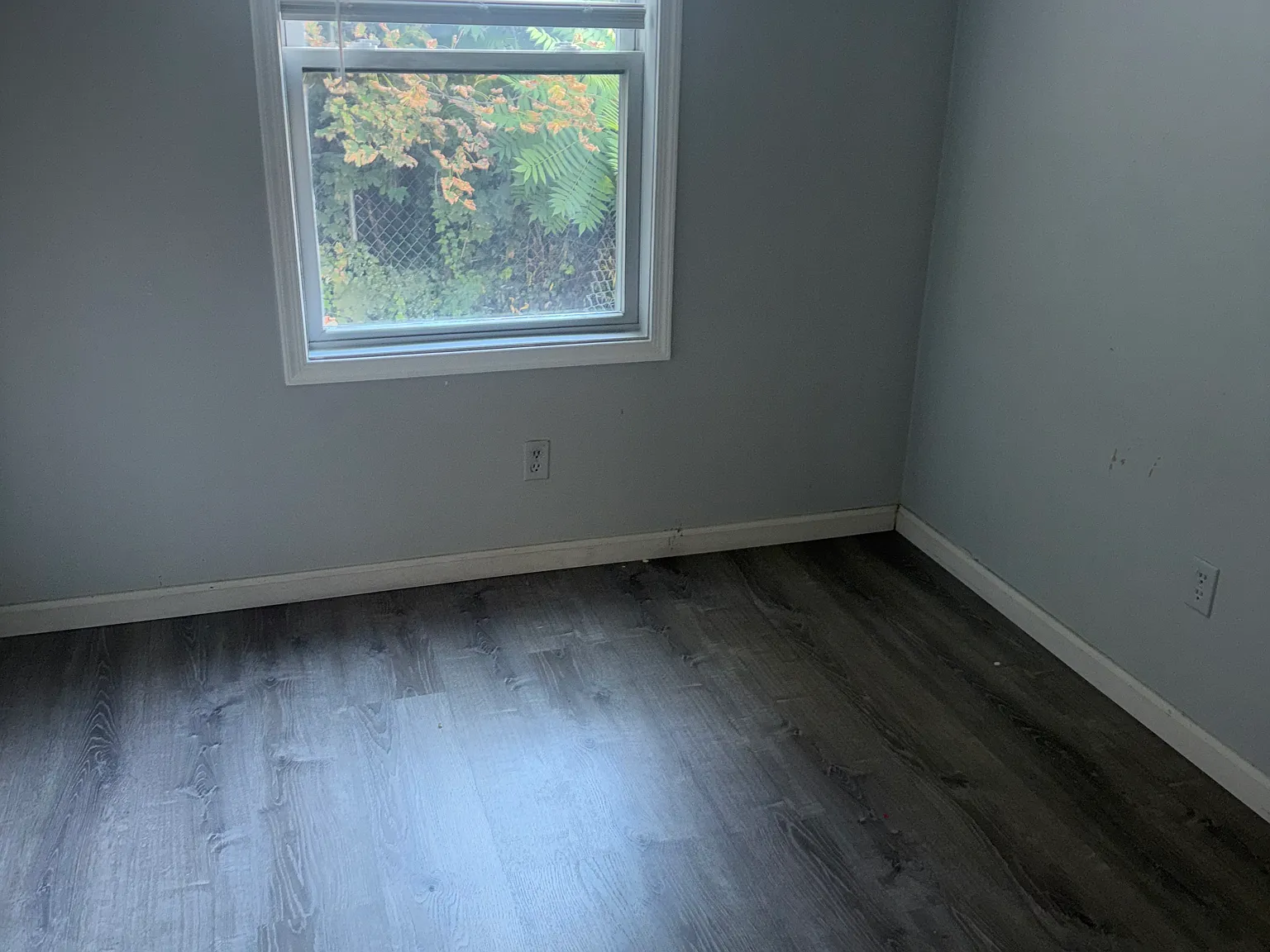 3 bed, $2,300 — Photo 4
