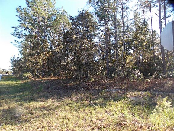 3rd image of 9432 N CHERRY LAKE DRIVE