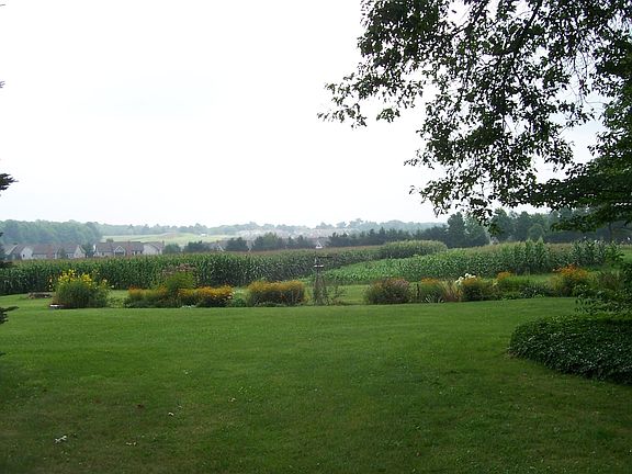 Front yard and gardens