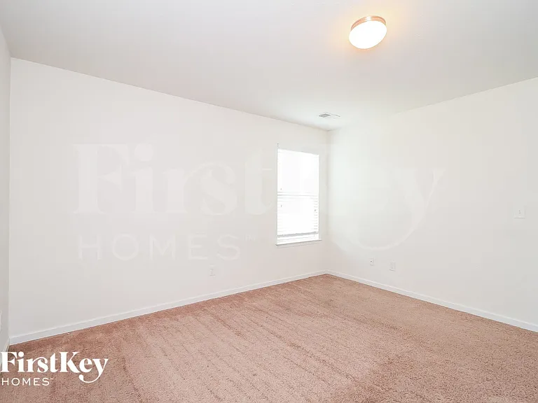 3220 Scarlet Sage Ln — Photo 12