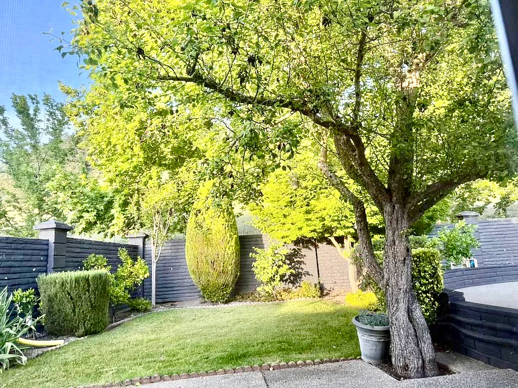 Private garden yard with paved section - 101 Redondo Way