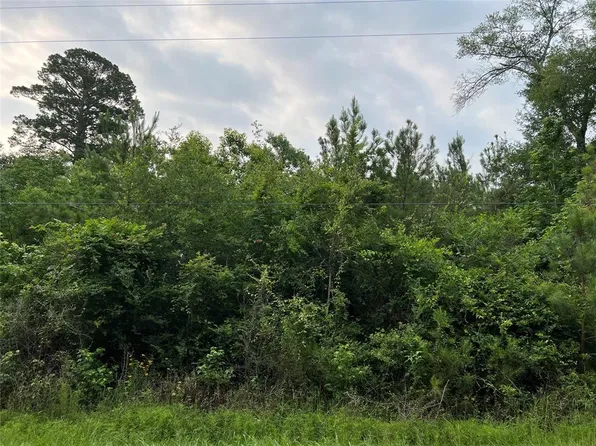 0 Roy Lane, Magnolia, TX 77354