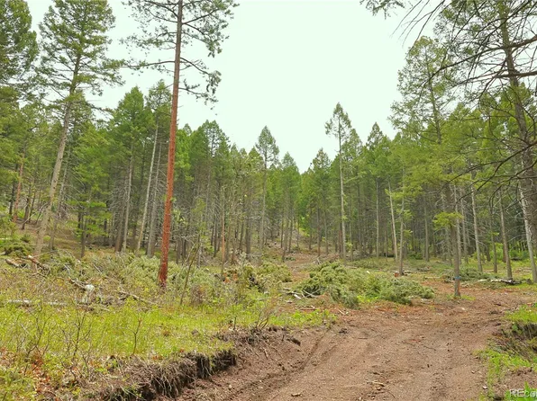 13114 Grey Hackle Drive, Larkspur, CO 80118