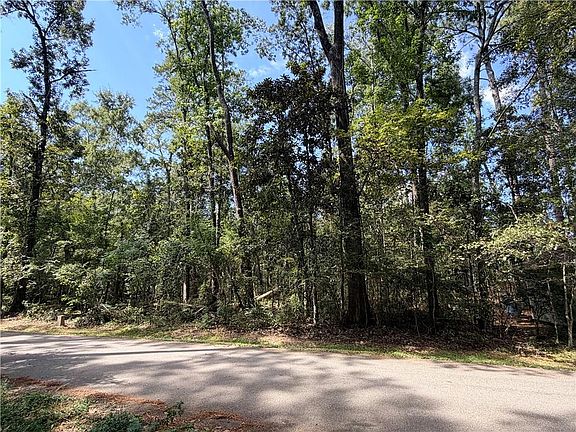 2nd image of 0 Jackson Ave