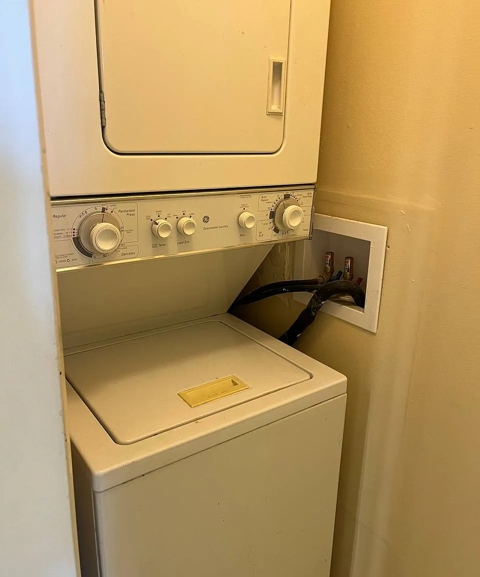1 bed, 655 sqft, $1,250 — Photo 2