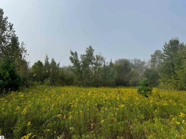 S Leaton Rd, Shepherd, MI 48883