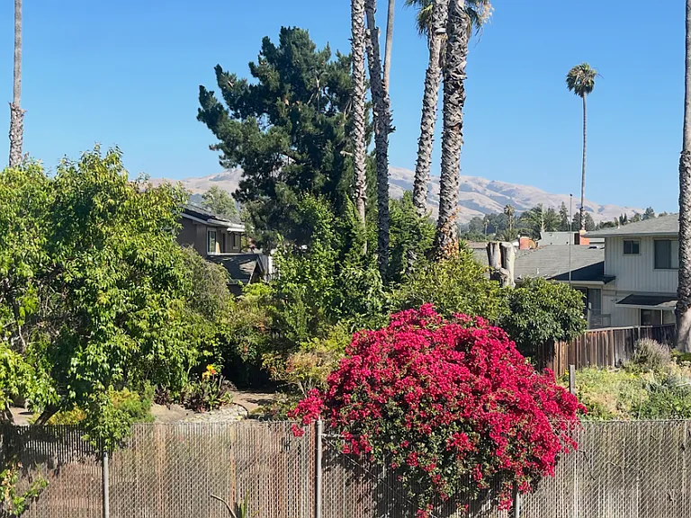 40268 Santa Teresa Cmn — Photo 22