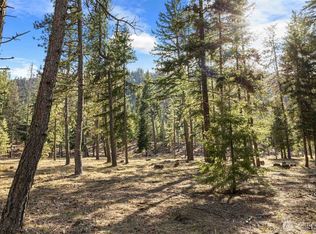 31 Domerie Park Loop, Cle Elum, WA