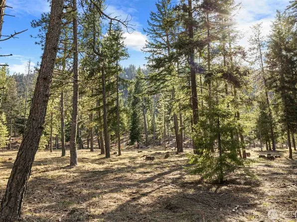 31 Domerie Park Loop, Cle Elum, WA 98922