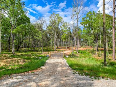 575 Rabbit Pen Drive, Appling, GA, 30802