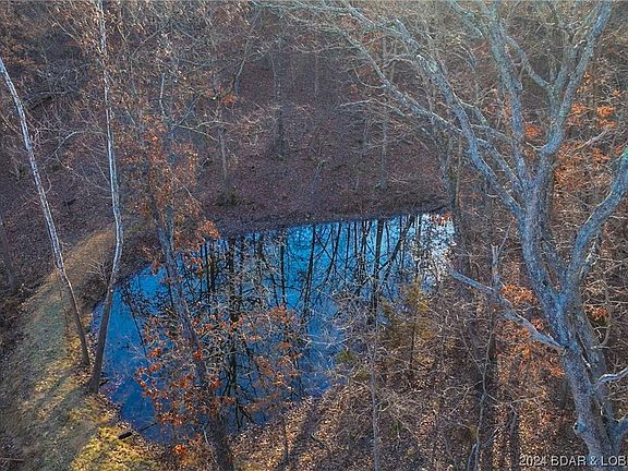 4th image of 28063 Circle D Farms Ln Tract 1