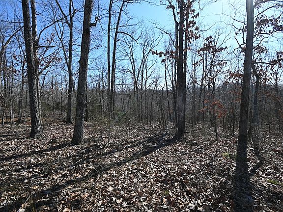 3rd image of 117 Wyatt Ln Lot 8