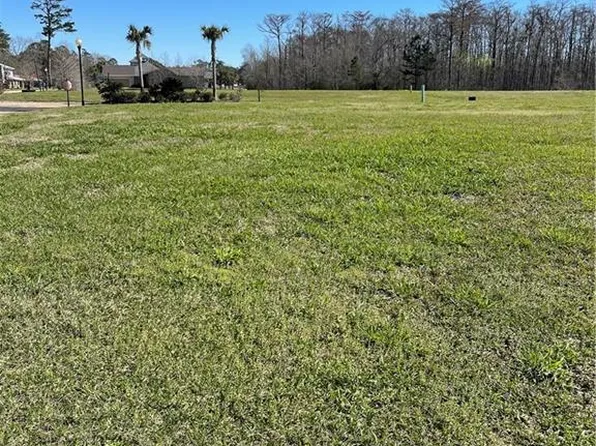 21565 Blue Marlin Dr, Springfield, LA 70462