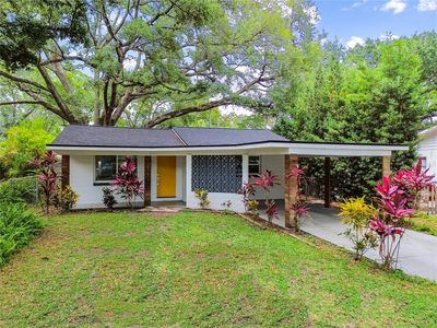 1311 W Perdiz St, Tampa, FL, 33612
