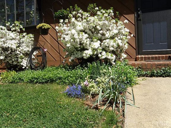 4th image of 107 Woodville Dr
