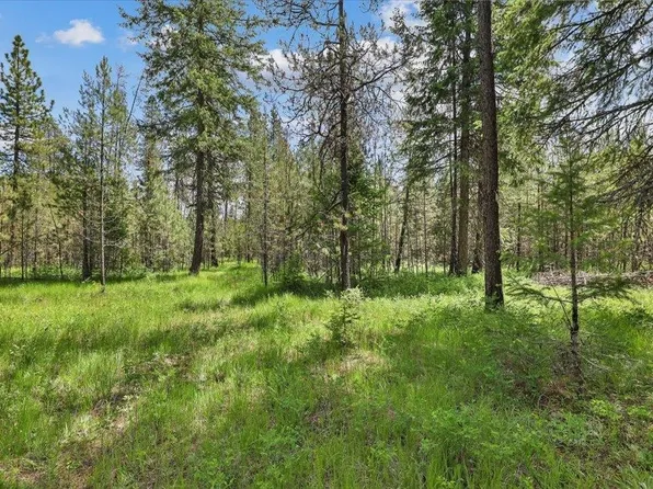 3804 Meadowlark Way, Loon Lake, WA 99148